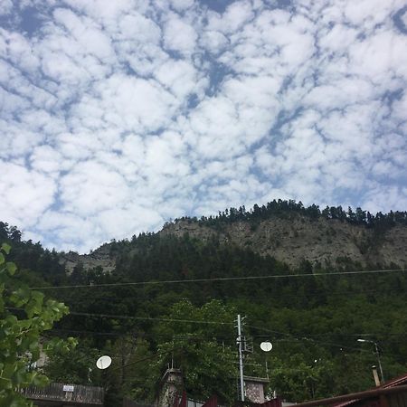 Greenland Otel Borjomi Dış mekan fotoğraf