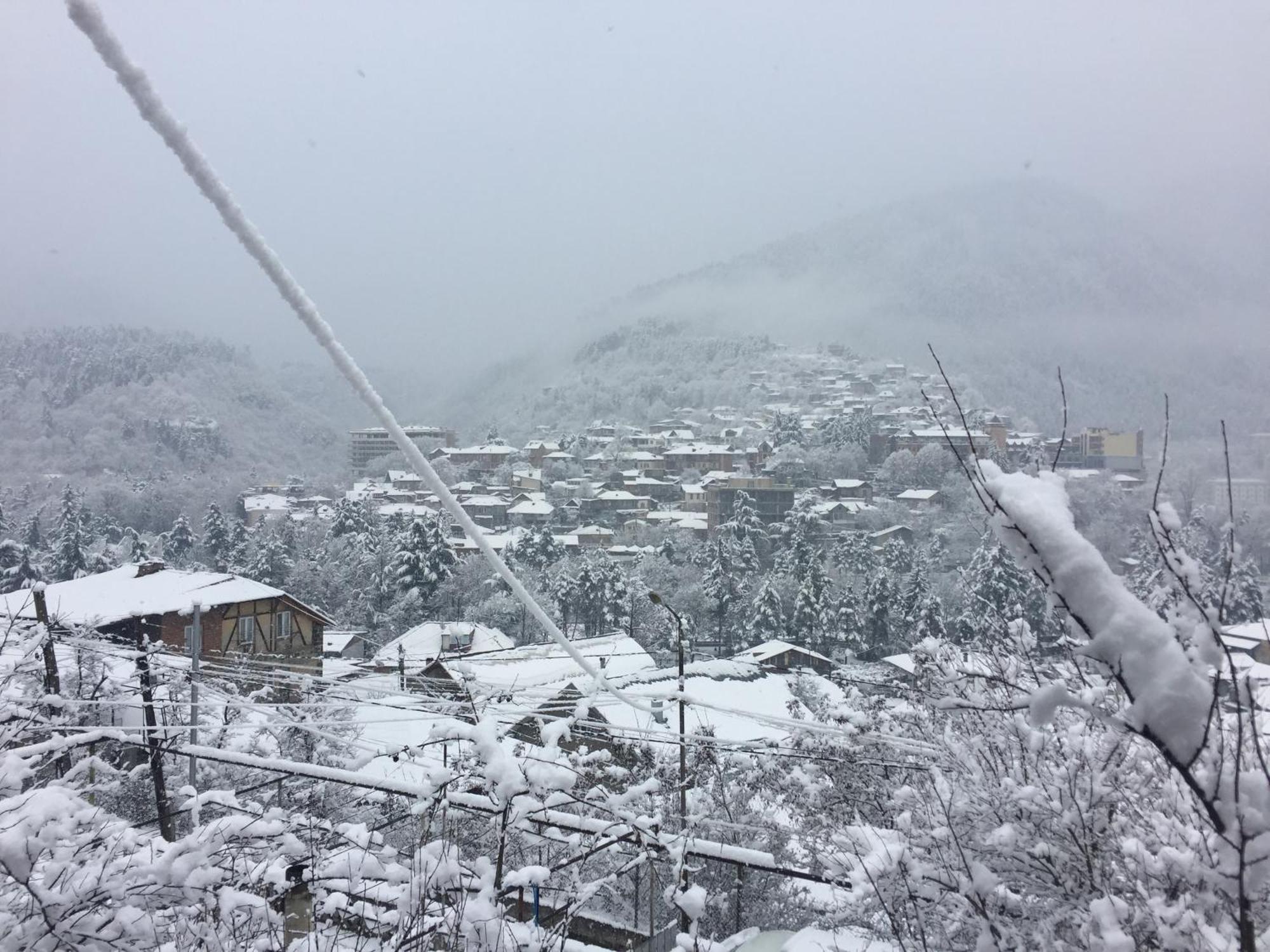 Greenland Otel Borjomi Dış mekan fotoğraf